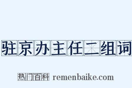驻京办主任二组词是什么意思的图片